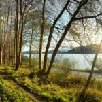 green grass field near body of water during daytime